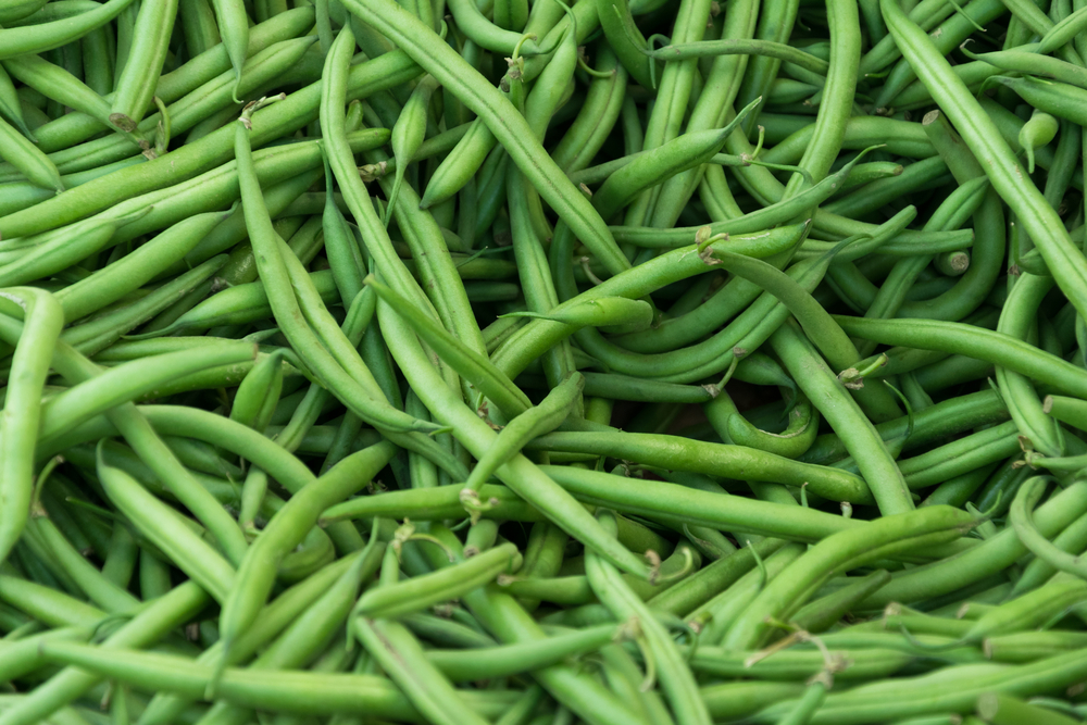 Green Beans