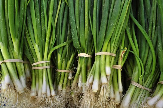 Green Onions